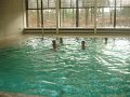 Aquajoggen 2013 - 2